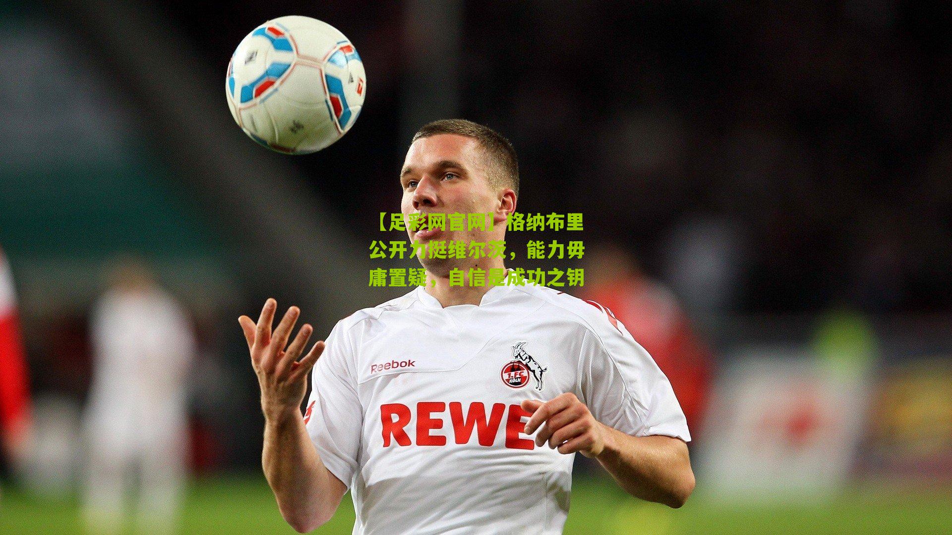 格纳布里公开力挺维尔茨，能力毋庸置疑，自信是成功之钥
