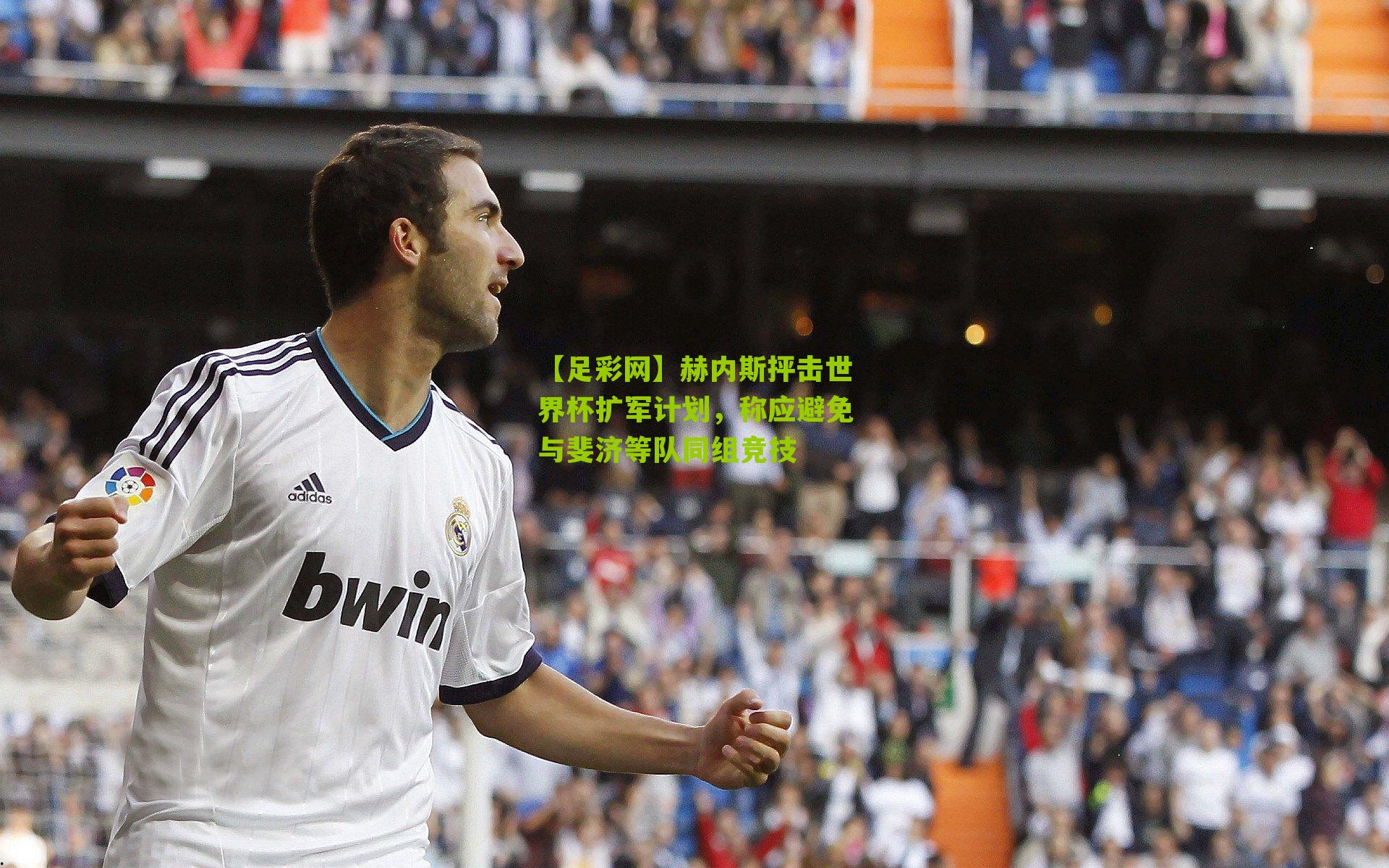 赫内斯抨击世界杯扩军计划，称应避免与斐济等队同组竞技