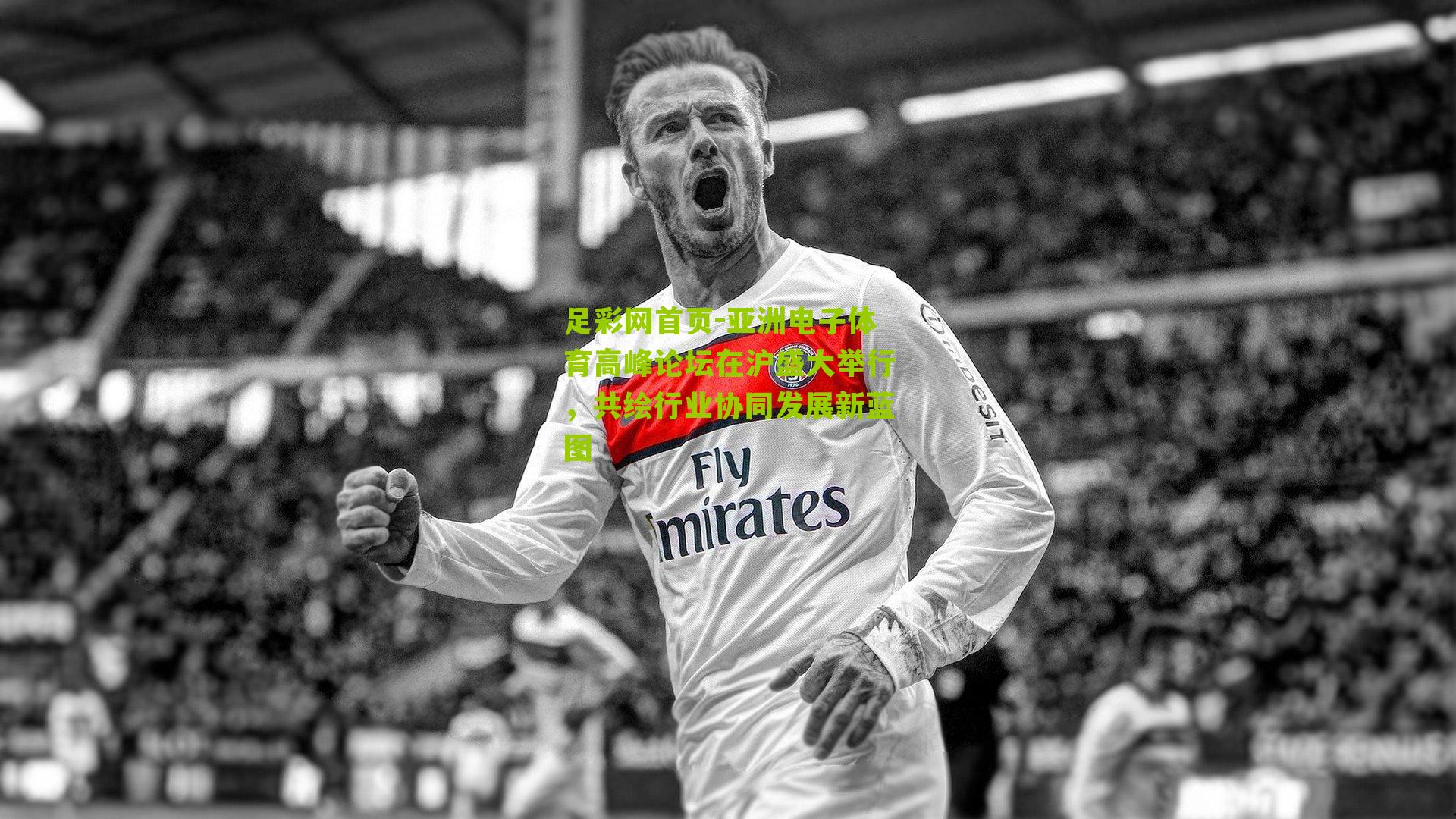 亚洲电子体育高峰论坛在沪盛大举行，共绘行业协同发展新蓝图